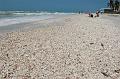 486. sanibel